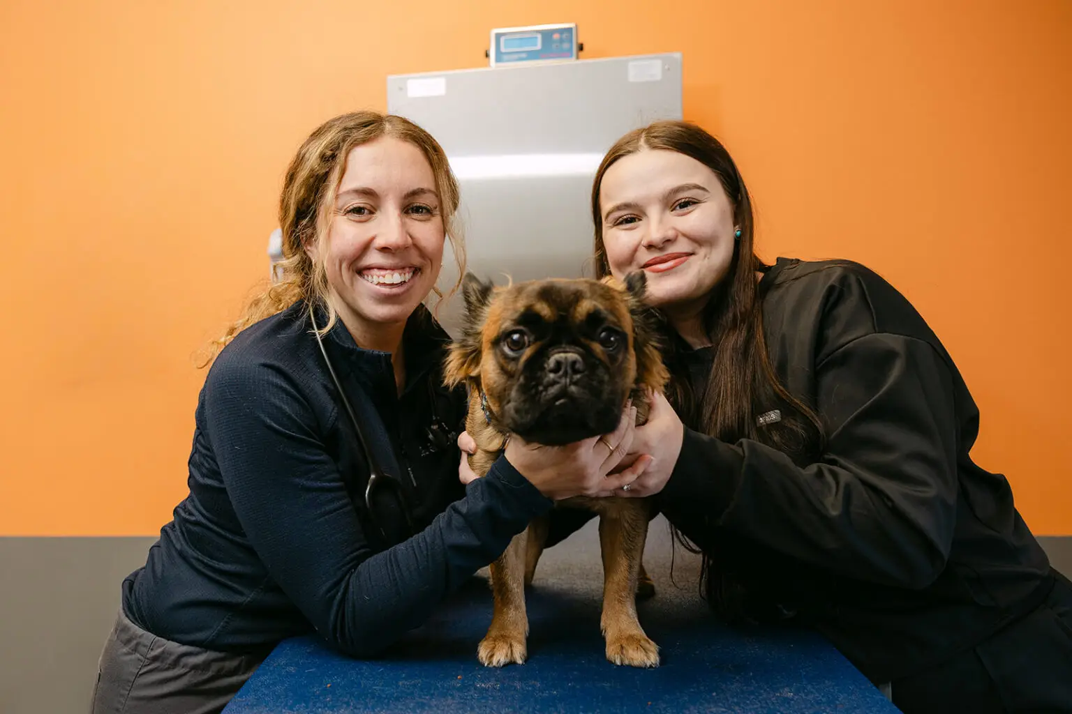 Veterinary team members posing with a small dog on an exam table at Philadelphia Animal Hospital